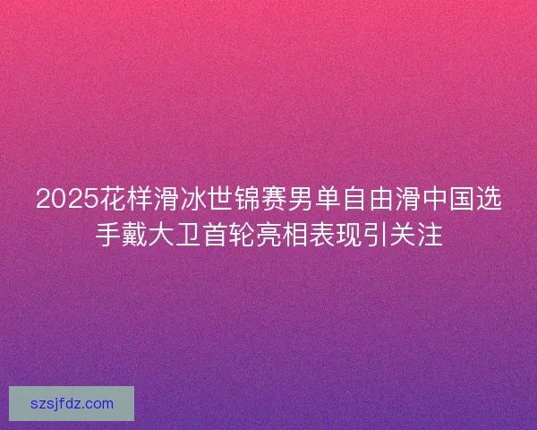 2025花样滑冰世锦赛男单自由滑中国选手戴大卫首轮亮相表现引关注