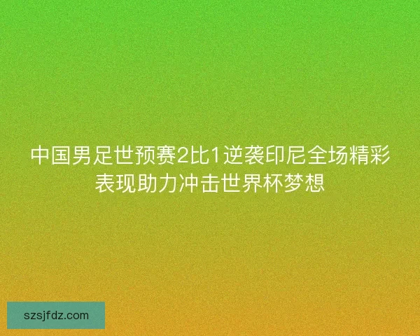 中国男足世预赛2比1逆袭印尼全场精彩表现助力冲击世界杯梦想