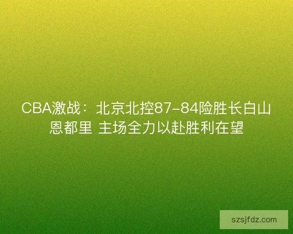 CBA激战：北京北控87-84险胜长白山恩都里 主场全力以赴胜利在望