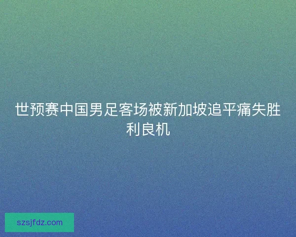 世预赛中国男足客场被新加坡追平痛失胜利良机