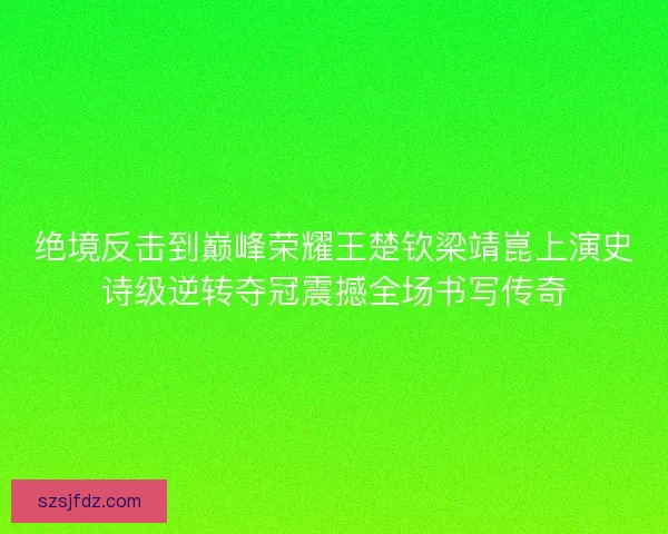 绝境反击到巅峰荣耀王楚钦梁靖崑上演史诗级逆转夺冠震撼全场书写传奇